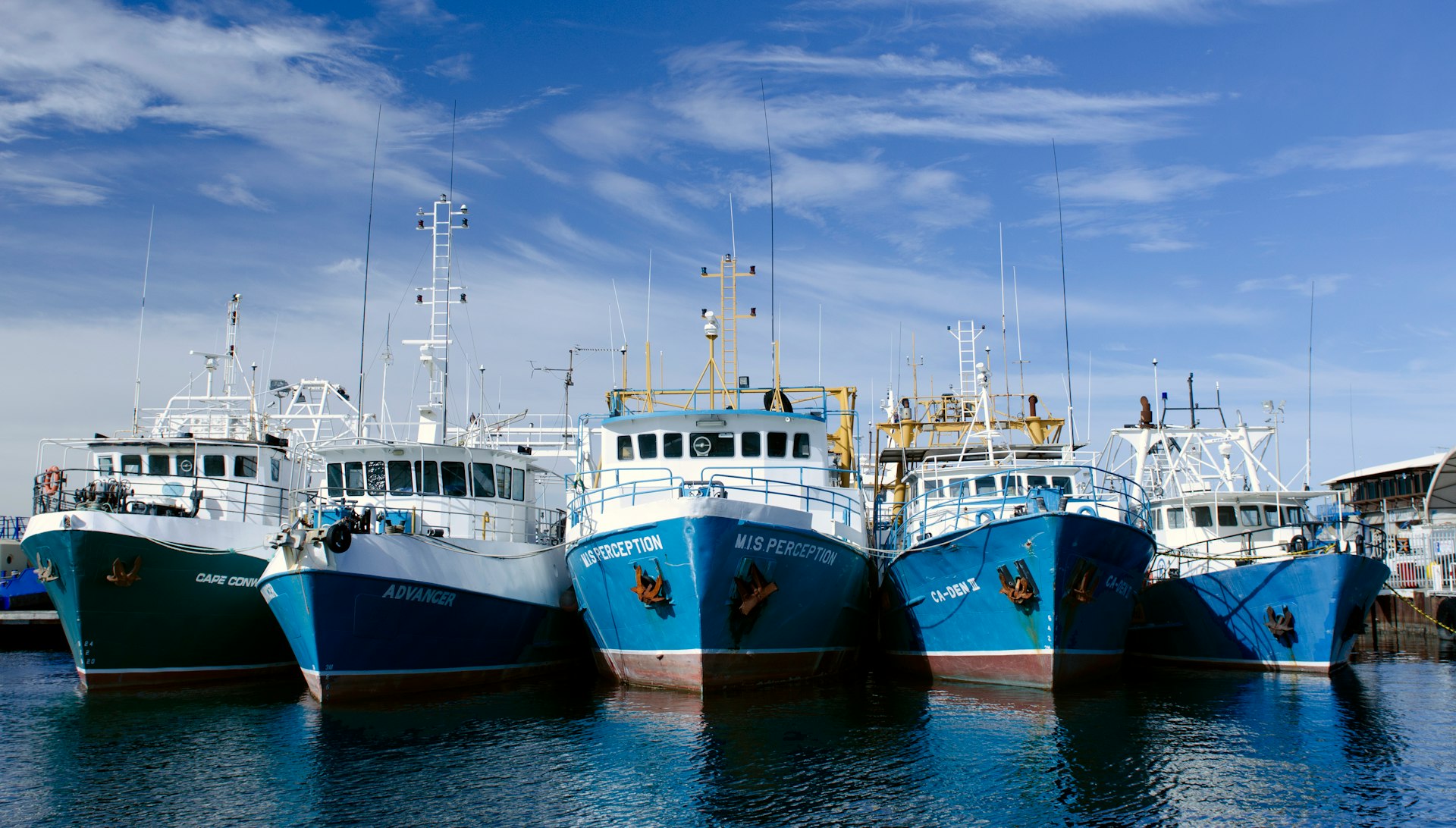 white and blue boat on sea during daytime